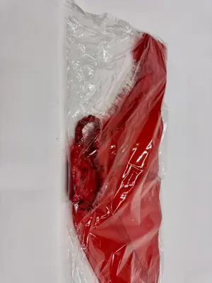 Fasching Halloween Party Flügel Kostüm (NEU) Bild 2