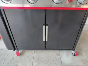 Weber Genesis 4 - 2 Grilltüren NEU (links und rechts)