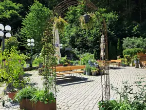 Schönes Restaurant mit großer Terrasse direkt am Waldrand Bild 5