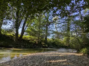 Liebe Vermieter, liebe Besitzer von ungenutztem Wohnraum! Bild 2
