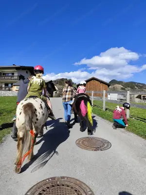 Geburtstag mit Hufgetrappel? Bild 4