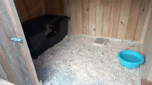 Entenhaus Kleintierhaus Stall Bild 4