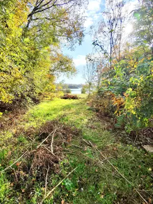 3700 m2 Baugrund Neusiedlersee.Ungarn-Österr.Grenze Bild 4