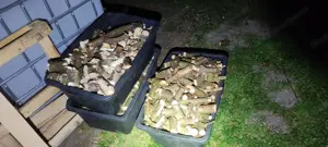 Holzhacker AM-80BD Bild 6