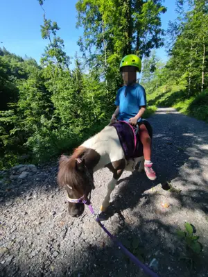 Erlebniss Ponyreiten Bild 3