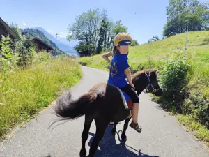 Erlebniss Ponyreiten Bild 2