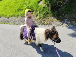 Erlebniss Ponyreiten Bild 4