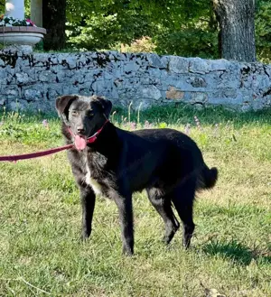 Borso möchte IHR Herz erobern Bild 5