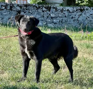 Borso möchte IHR Herz erobern Bild 3