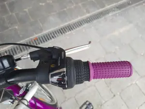 Kinderfahrrad Bergsteiger Atlantis 20 Zoll Bild 2