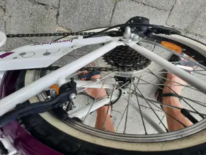 Kinderfahrrad Bergsteiger Atlantis 20 Zoll Bild 3