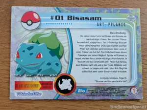 Pokemon Sammelkarten Set Bild 2