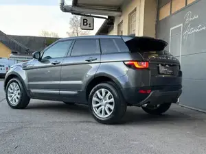 Land Rover Range Rover Evoque Pure 2,0 9G-Automatik Kamera* PDC* inkl. Garantie* Bild 8