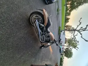 Harley Davidson Bild 8