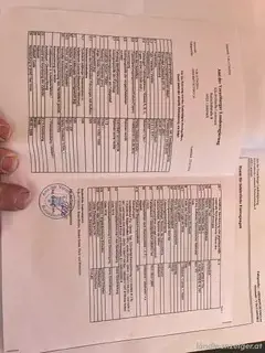 Harley Davidson Bild 5