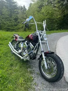 Harley Davidson EVO Bild 3