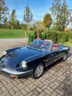 Alfa Romeo Spider 2.0 Cabrio Oldtimer Bild 8