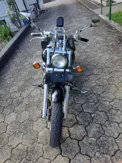 Yamaha XVS Drag Star 650 (Kardanwelle) Bild 6