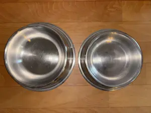 Futternapf, Wassernapf für Hunde Bild 2