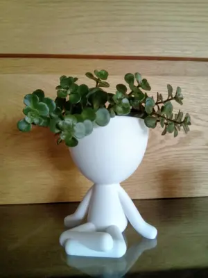 Roberts Planter Blumen Vase 