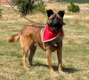 White Luna s Son möchte mit IHNEN durchs Leben gehen