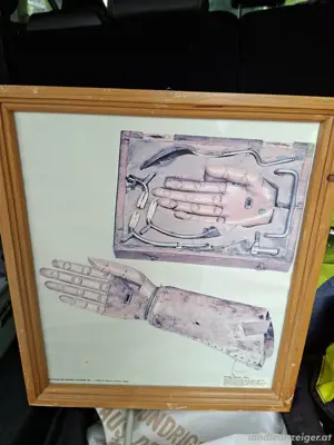 Bilder anatomisch, alt Bild 2