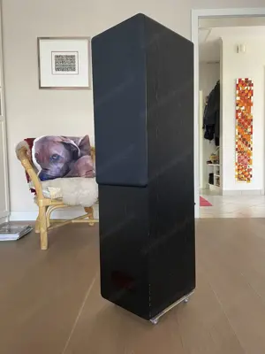 Backes&Mu ller BM 10 Standlautsprecher Bild 3