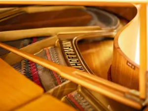 Hoffmann Flügel, Made in Germany! Kostenlose Lieferung in ganz Vorarlberg (*) Bild 2