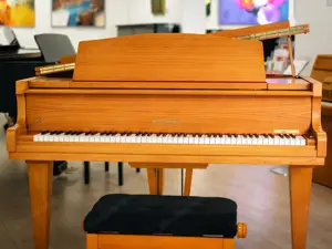 Hoffmann Flügel, Made in Germany! Kostenlose Lieferung in ganz Vorarlberg (*) Bild 4