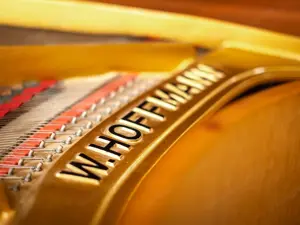 Hoffmann Flügel, Made in Germany! Kostenlose Lieferung in ganz Vorarlberg (*) Bild 5