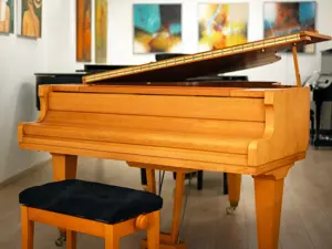 Hoffmann Flügel, Made in Germany! Kostenlose Lieferung in ganz Vorarlberg (*) Bild 7