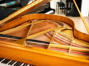 Hoffmann Flügel, Made in Germany! Kostenlose Lieferung in ganz Vorarlberg (*) Bild 6