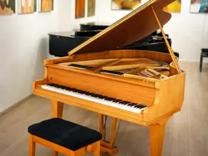 Hoffmann Flügel, Made in Germany! Kostenlose Lieferung in ganz Vorarlberg (*) Bild 8