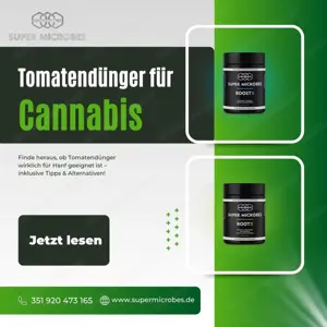 Tomatendünger für Cannabispflanzen   Natürlich düngen mit Super Microbes!