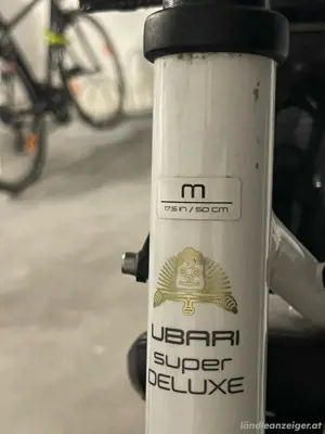 Citybike Diamant Bild 3