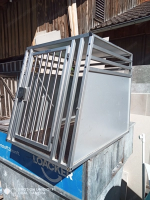 Hundebox fürs Auto Bild 5