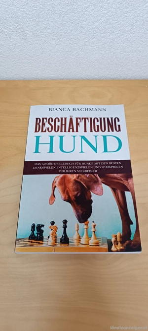 Hunde Buch Ideen Beschäftigung Spiel Training