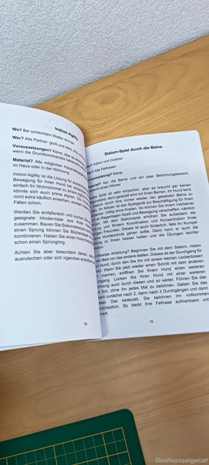 Hunde Buch Ideen Beschäftigung Spiel Training Bild 3