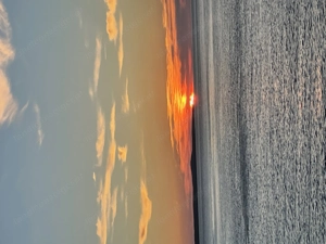 Welche Frau willl SEX?