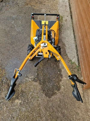 AS Hochgrasmäher 63 4T B&S Allmäher, Wiesenmäher Bild 5