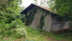 Grundstück 700qm  in Hohenweiler mit 100qm  Bestandsgebäude - Schrebergarten, Garage, Lagerhalle Bild 4