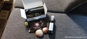 Lava Shell Muscheln Bild 3