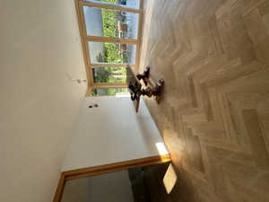 Verputzarbeiten,Malerarbeiten... Bild 10