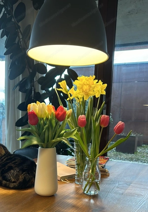 Leuchten, anthrazit, d=38cm Bild 4