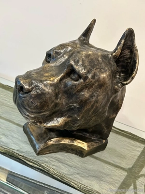 Imposanter XXL - Hund Kopf Pittbull Bild 5