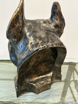 Imposanter XXL - Hund Kopf Pittbull Bild 4