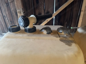 Zu verschenken: ein leerer Heizöltank aus Kunststoff - Dornbirn Bild 7