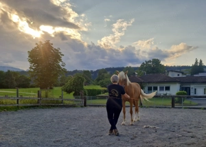 Biete eine Reitbeteiligung mit Reitunterricht in Feldkirch Bild 4