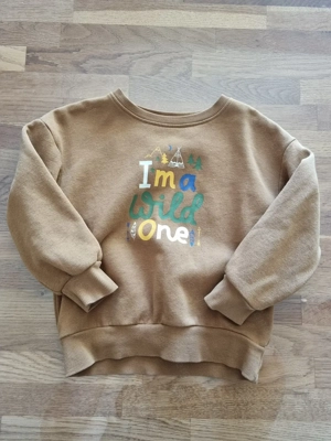 Jungs Pullover Gr. 98 104 Bild 5