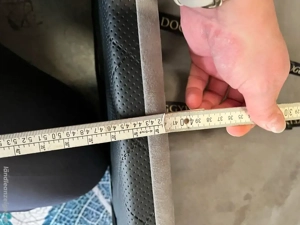 Hunde Autositz Bild 2